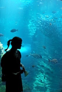 長野中央警察署(刑事課)に所属するRSの写真